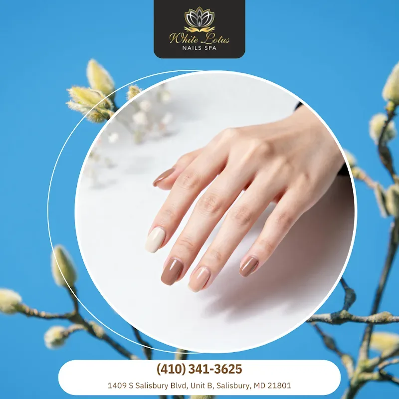 White Lotus Nails Spa — Nail salon in Salisbury